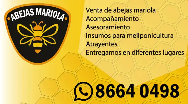 Imagen de Abejas Mariola y Meliponas