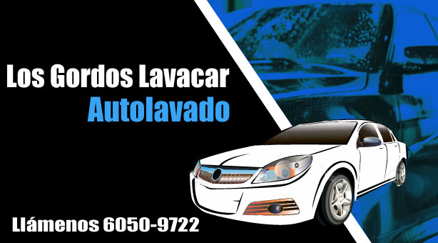 Imagen de Los Gordos Lavacar